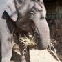Thaïlande - 