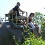 Thaïlande - 