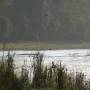 Népal - Chitwan