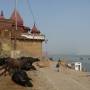 Inde - Ghat au bord du gange