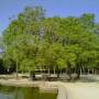 France - 