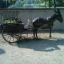 France - 
