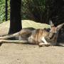 Australie - 