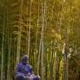 Japon - 