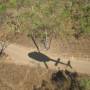 Australie - H&eacute;lico &agrave; Mitchell Plateau