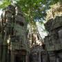 Cambodge - 