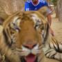 Thaïlande - 