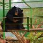Thaïlande - 