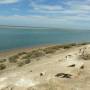 Argentine - Caleta Valdez 3