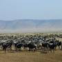 Day 3 - Welcome to the Maasai...