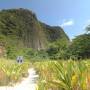 Thaïlande - Ko Phi Phi