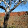 Australie - En haut des gorges