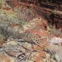 Australie - En haut des gorges