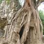 Cambodge - 