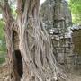 Cambodge - 