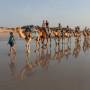 Australie - Notre caravan de chaneau sur Cable Beach.