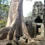 Cambodge - 
