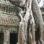 Cambodge - 