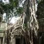 Cambodge - 