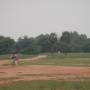 Inde - Match de cricket du Dimanche