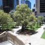 Australie - 