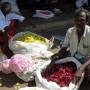 Inde - Marche aux fleurs 