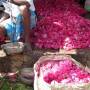 Inde - Marche aux fleurs 