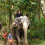Inde - Ballade en elephant