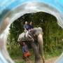 Inde - Ballade en elephant