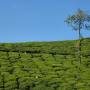 Inde - 
