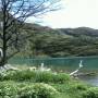 Argentine - Laguna Del Caminante 3