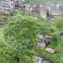 Philippines - 