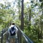 Australie - Tree top walk in the Valley of the Giants