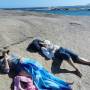 Australie - L&eacute;zards &agrave; Green Pool