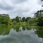 Singapour - Jardin botanique - Jardin botánico