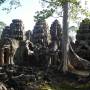Cambodge - Ta Phrom : autrefois un des plus grands temples d Angkor