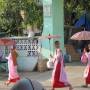 Birmanie - Moinettes