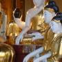 Birmanie - Shwedagon Paya