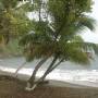 Saint-Vincent-et-les-Grenadines - Brighton beach... Sous la pluie...