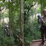 Laos - Gibbon Experience