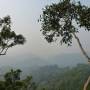 Laos - Gibbon Experience
