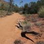 Australie - Near ALice Springs