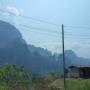 Laos dans les arbres
