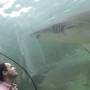 Australie - aquarium