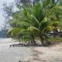 Thaïlande - La plage quasi désertique!!!