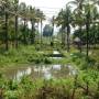 Laos - 