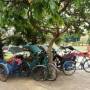 Cambodge - La sieste des conducteurs de Tuk Tuk à Phnom Penh