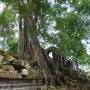 Cambodge - Bang Mealea