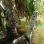 Australie - Kakadu national park