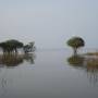 Cambodge - Le lac Tonle Sap